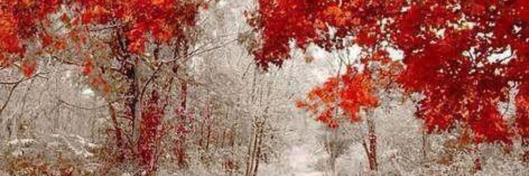 es_770's profile banner image