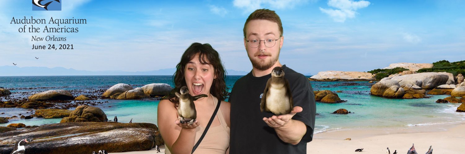 krispy_bea's profile banner image