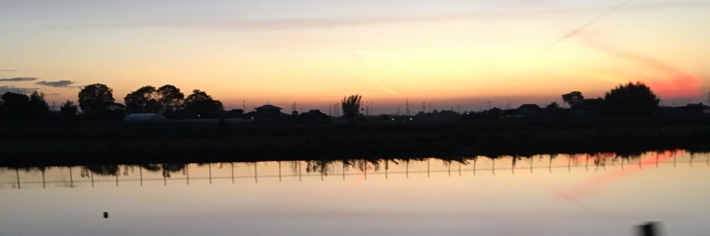 _TCiN_'s profile banner image