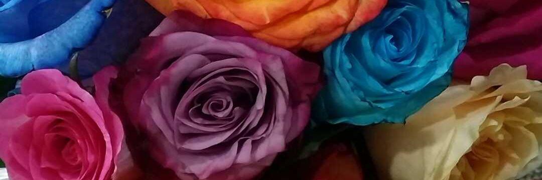 sa1988arh's profile banner image
