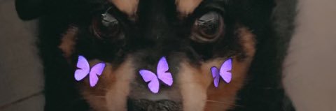 heyitsvi15's profile banner image