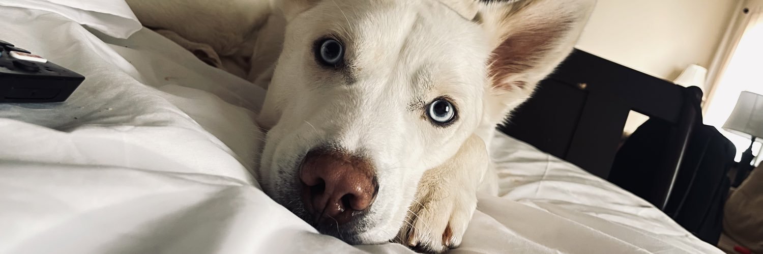 conner_small's profile banner image