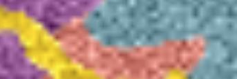 frazaccaria's profile banner image