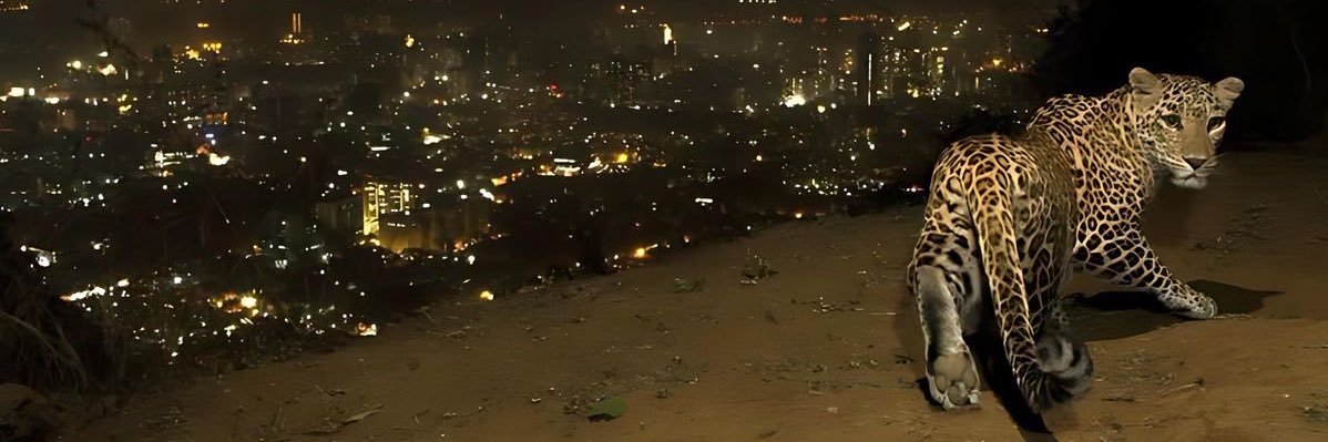 sam_ira77's profile banner image
