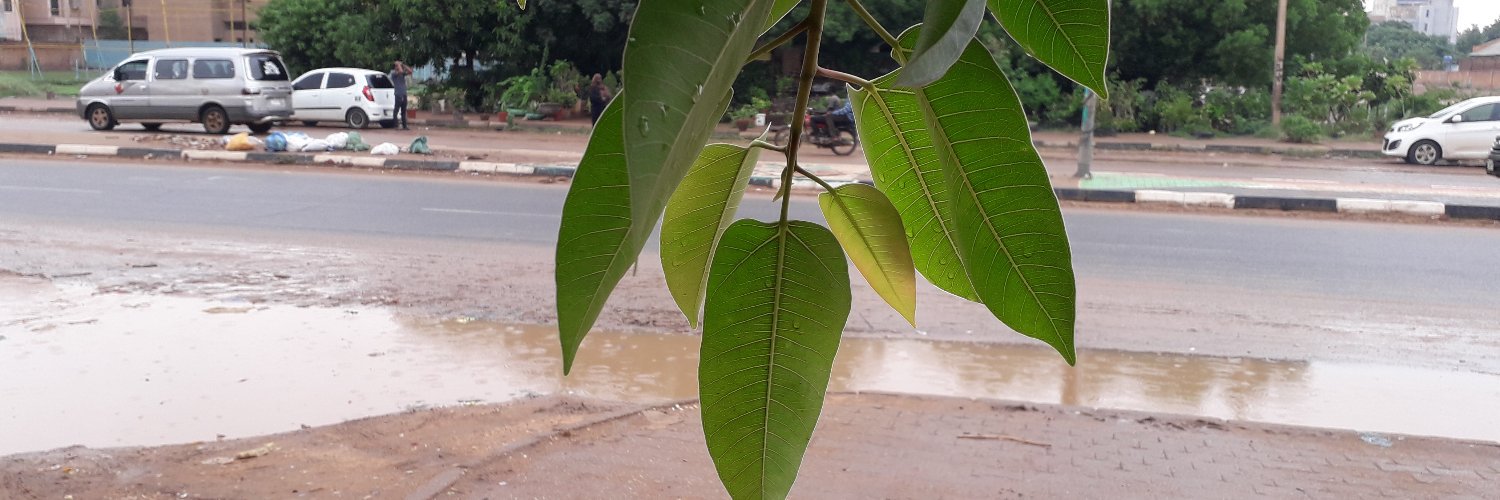 wadidi22's profile banner image