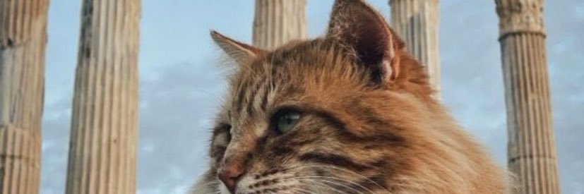 onurbuluc's profile banner image