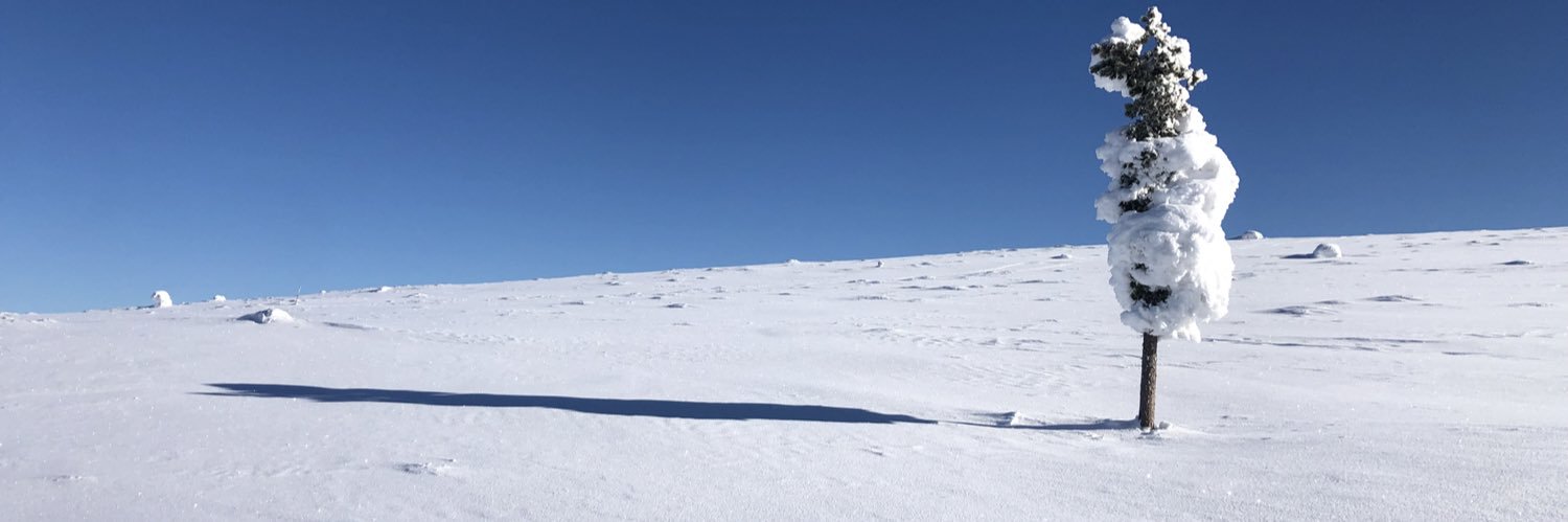 anttitainio's profile banner image