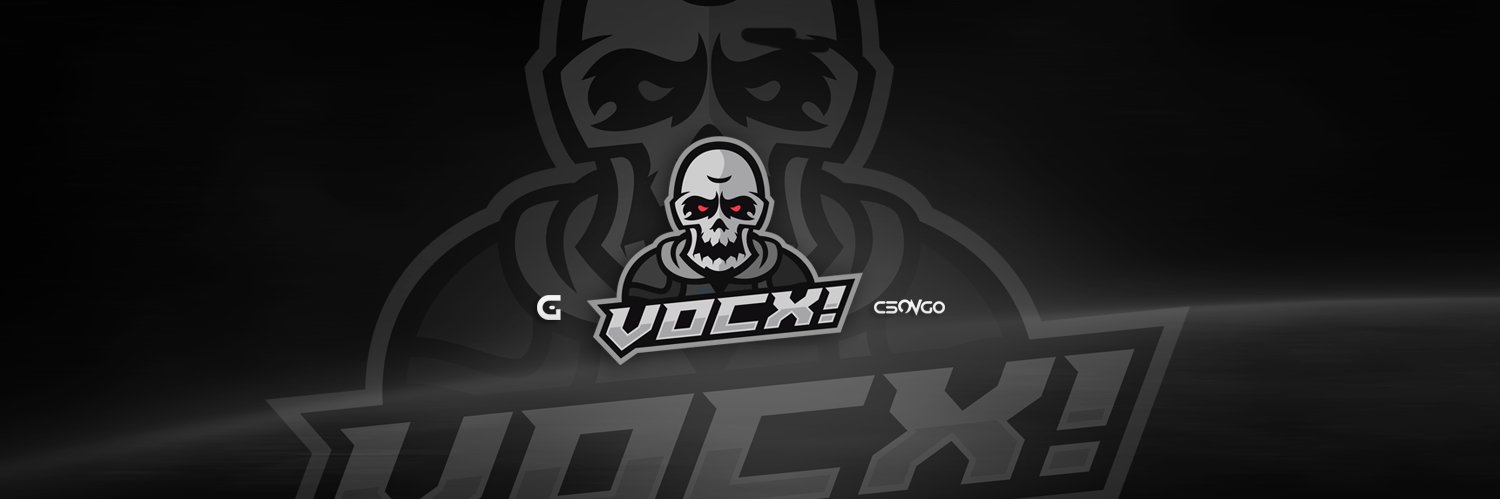 VocXGG's profile banner image