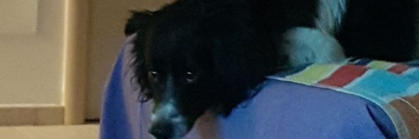 ale_jarvis Profile Banner