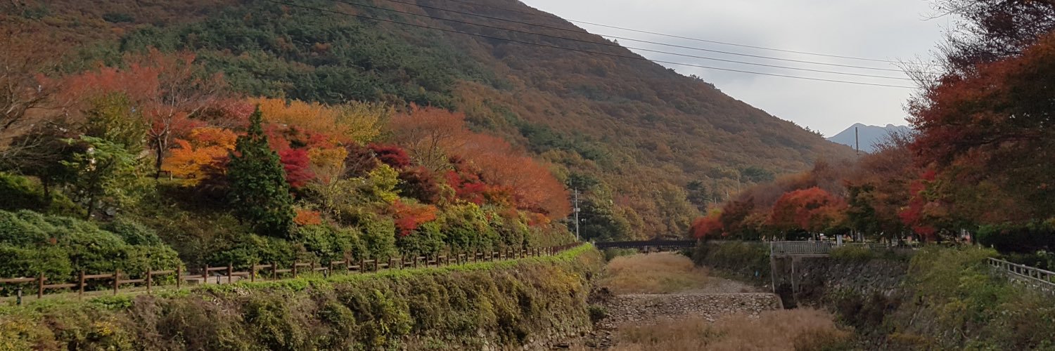 ifaarynaa's profile banner image