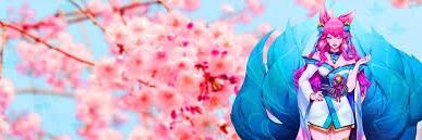 General__Tiger banner