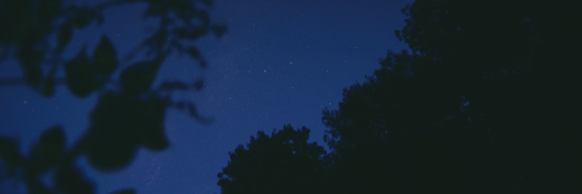 patheticnded's profile banner image