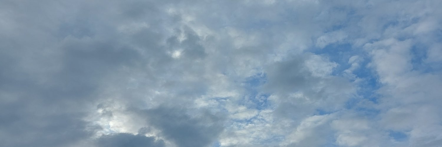 Irissummer_nun's profile banner image