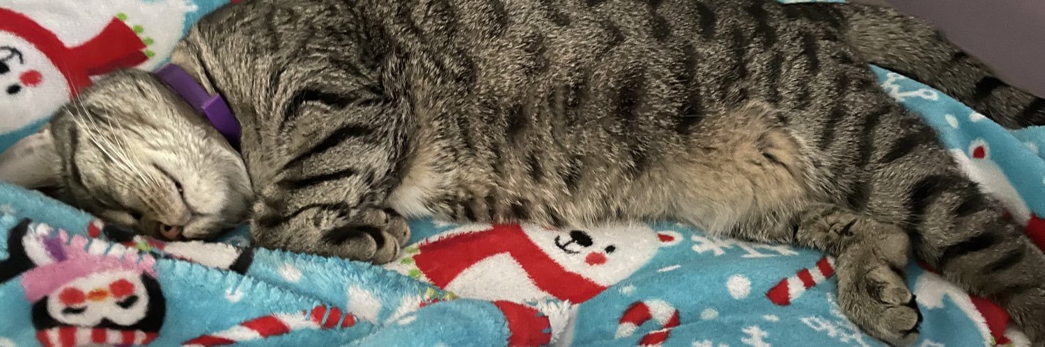 RyleeWiles's profile banner image