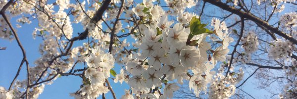 MaylynnDing Profile Banner