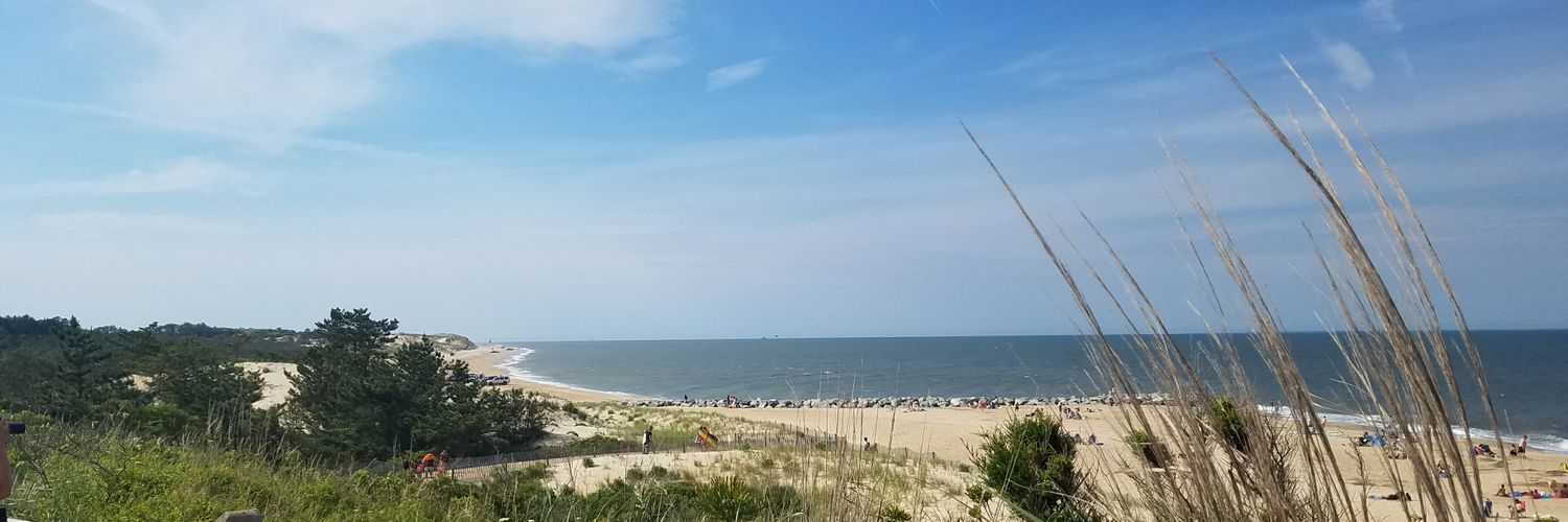 Damon.D Harris banner