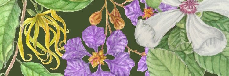 Cyn Bauzon Arre 🌷 banner