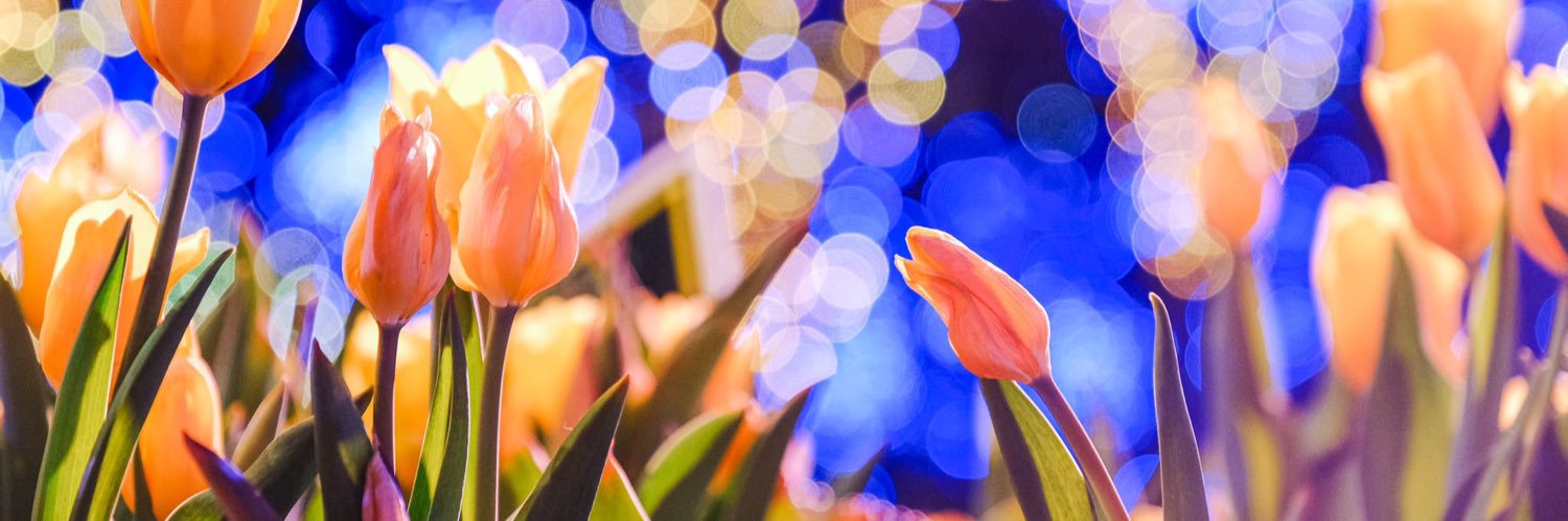 ゆっぺ banner
