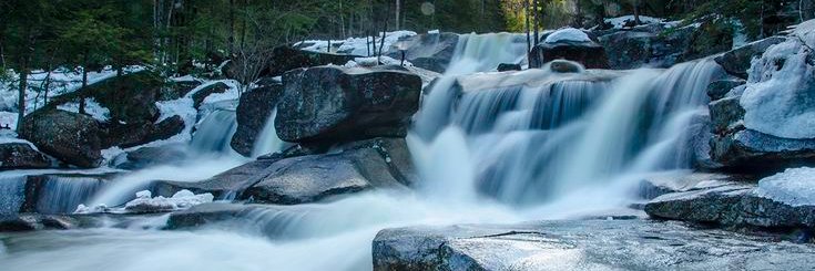 Eileen cleary banner
