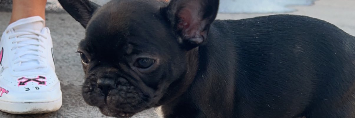 Fredrik Karlsson banner