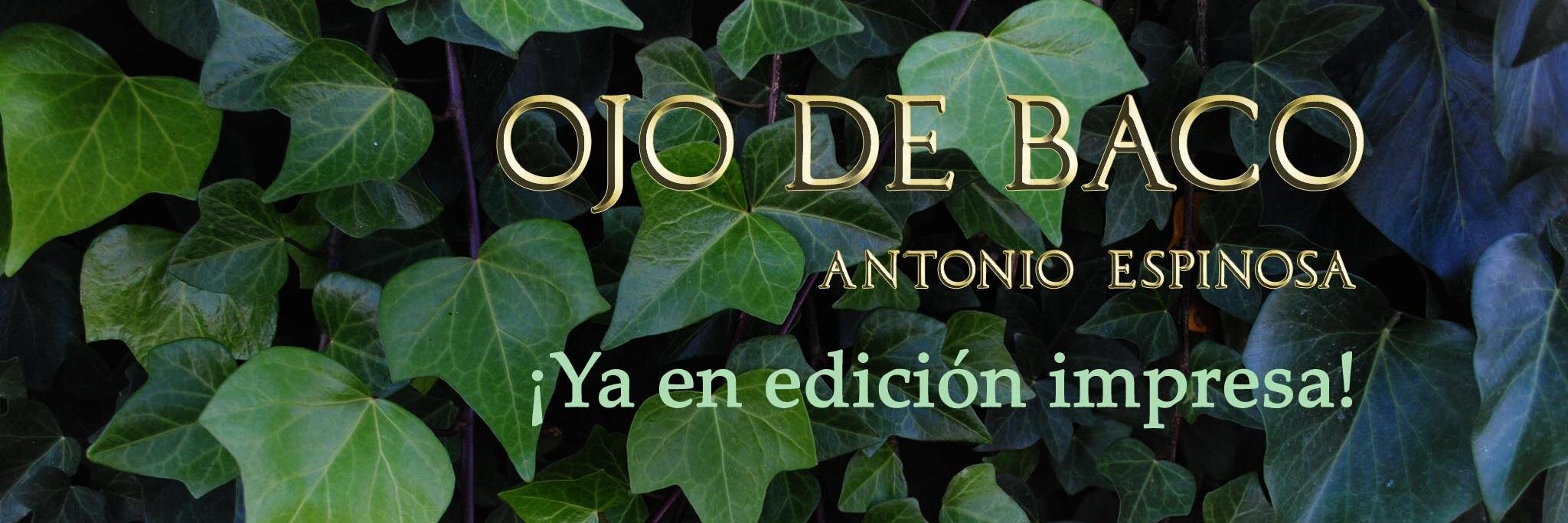 ojodebaco's profile banner image