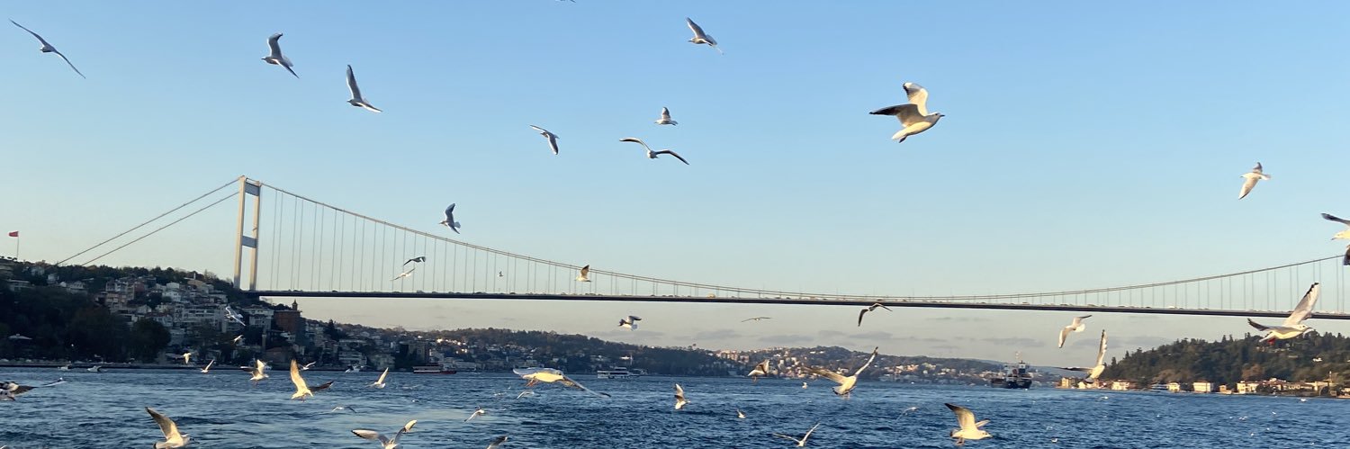 vanneer_'s profile banner image