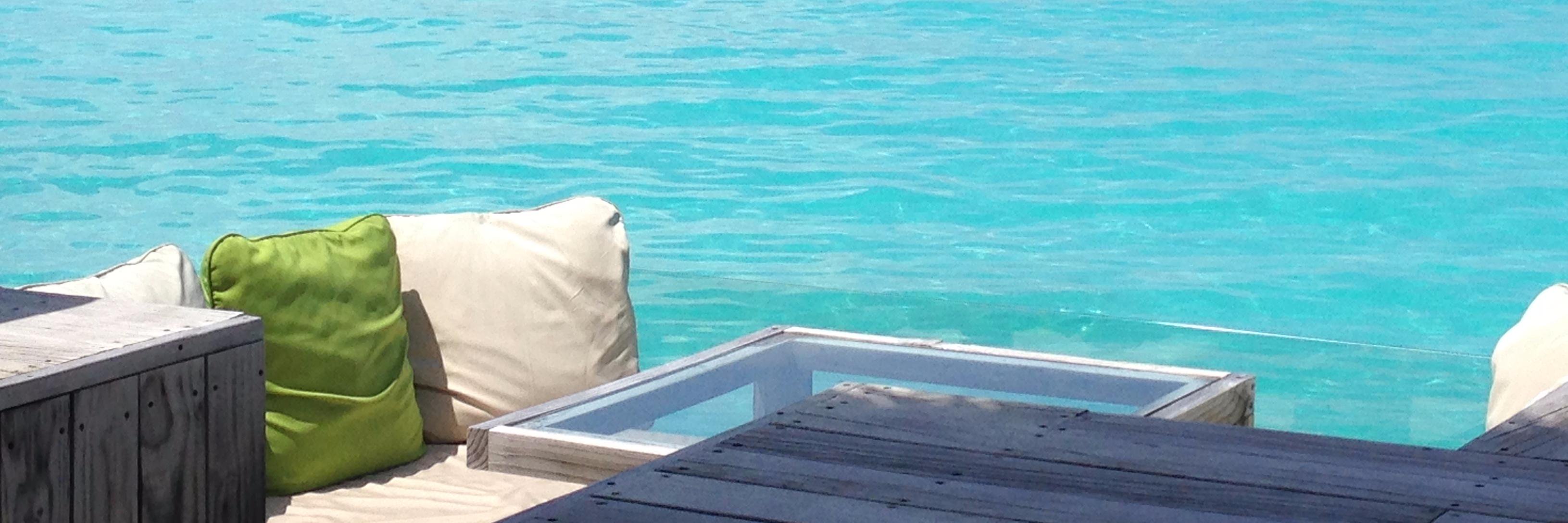 かぽねSDGs🍺 banner