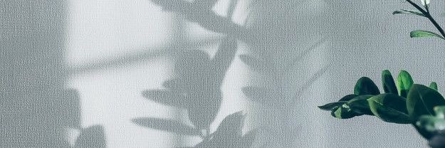 canndec's profile banner image
