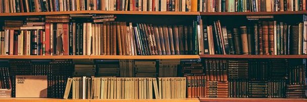 Bruno 🇫🇷 🇮🇱 🚳 banner