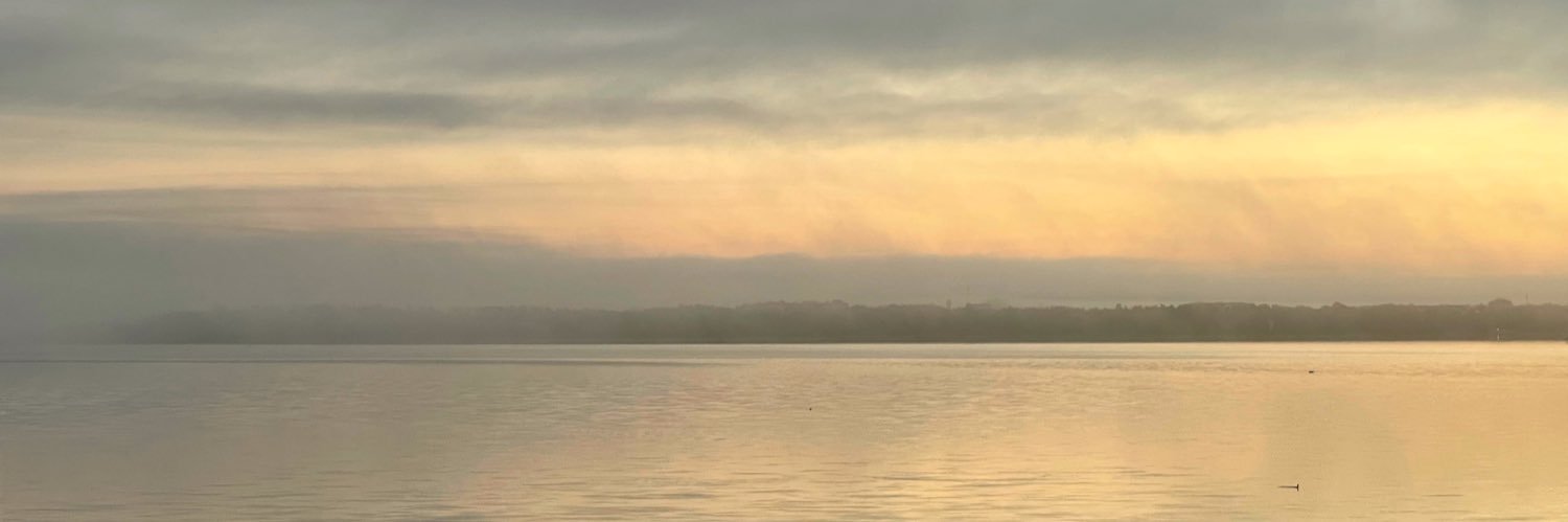 Vilunki's profile banner image