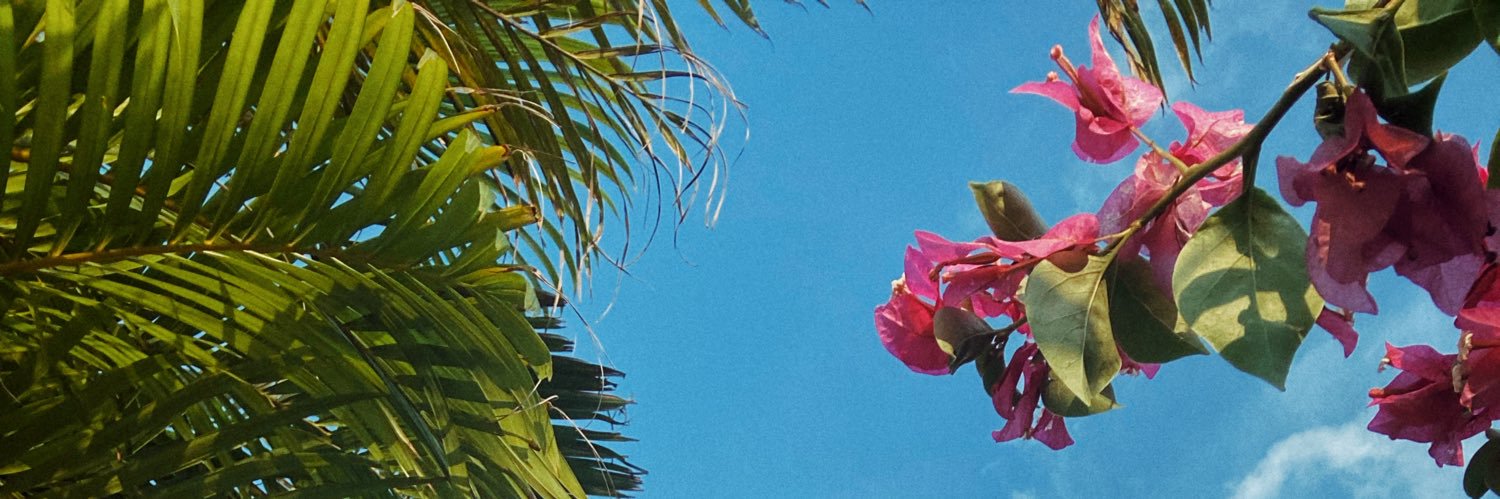camargobae's profile banner image