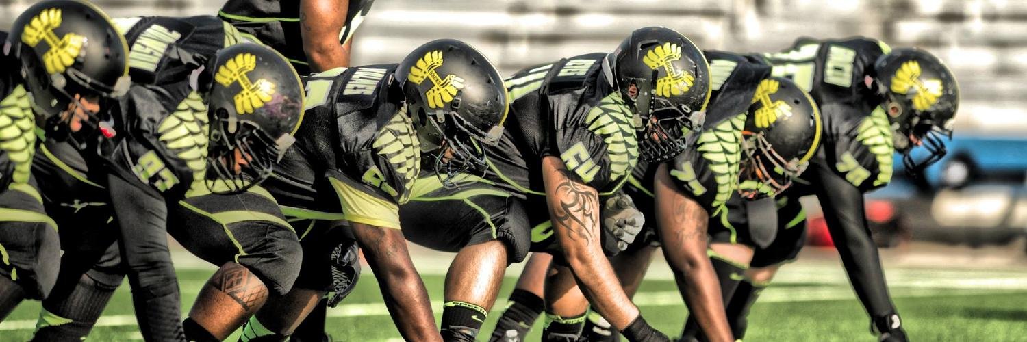 HoustonDucks's profile banner image