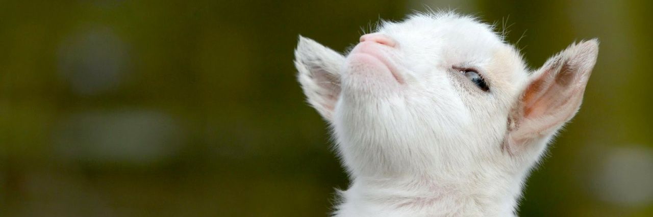 ImJayClay's profile banner image