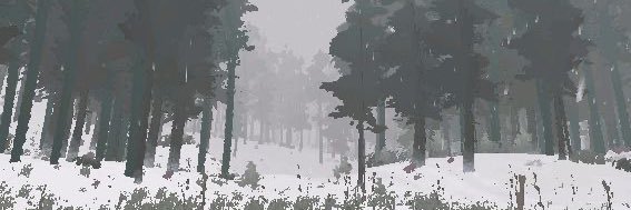 Pelo banner