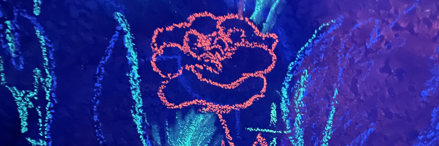 Littlebean_meat's profile banner image