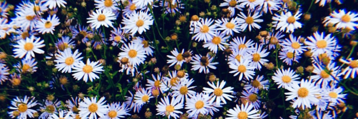 aimssjxo's profile banner image
