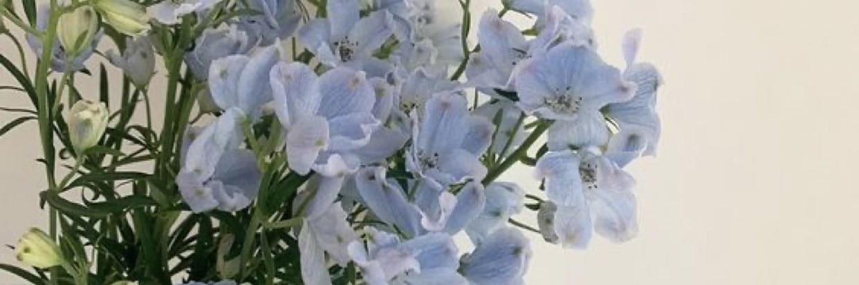 MeaganMaes_'s profile banner image