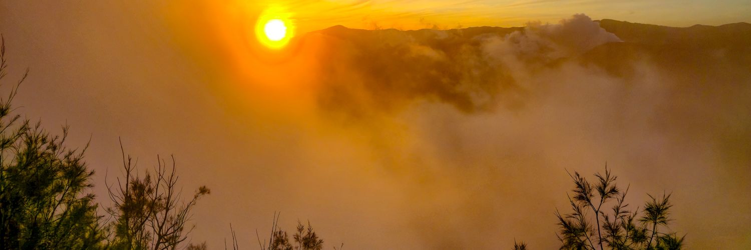 benniantoni's profile banner image