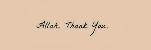 ▪ banner