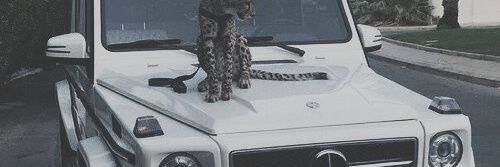 EdwardXavierIII's profile banner image