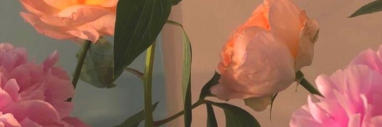 noewaves's profile banner image