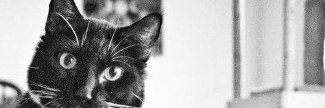 larryspub's profile banner image