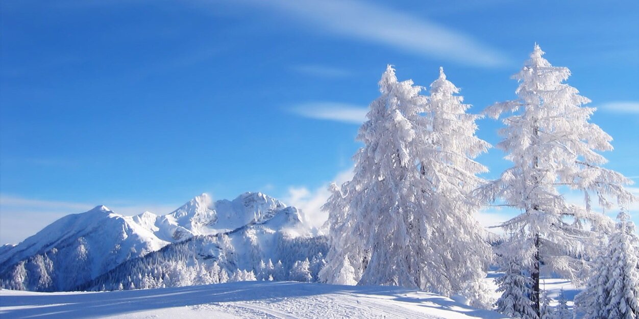 The Mountain Report banner