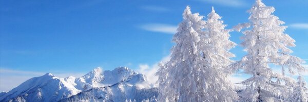 TheMntReport Profile Banner