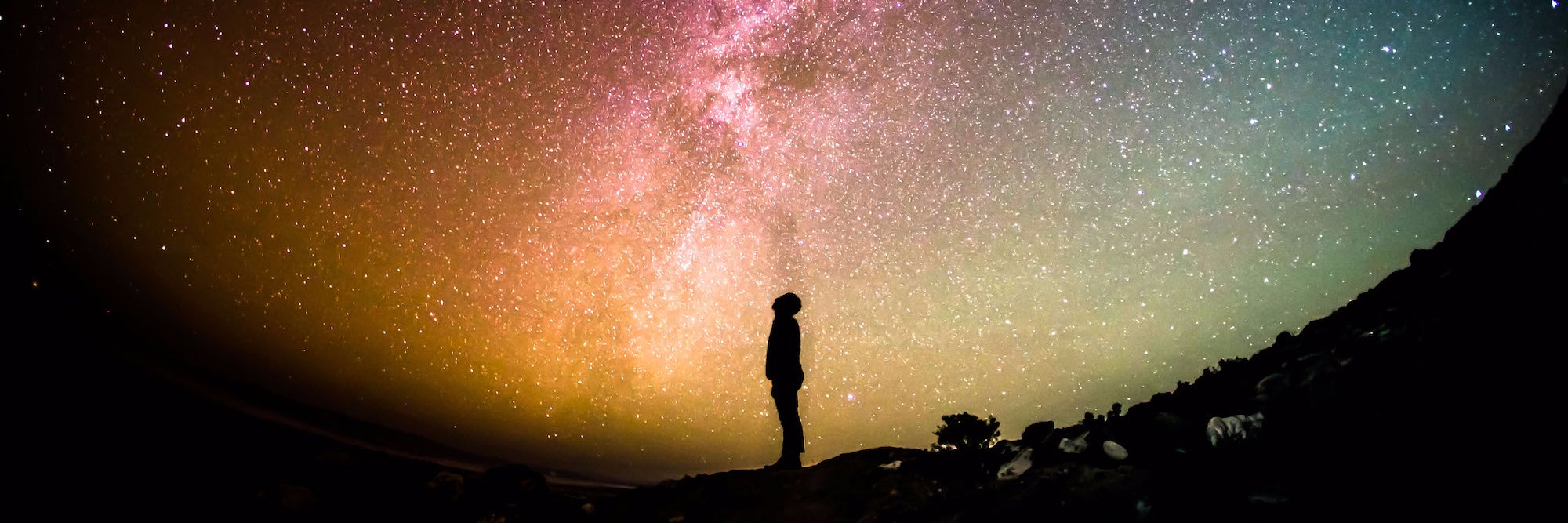 🤓 Tomek Nieżurawski banner