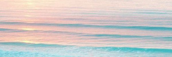 ms_martin_5 Profile Banner