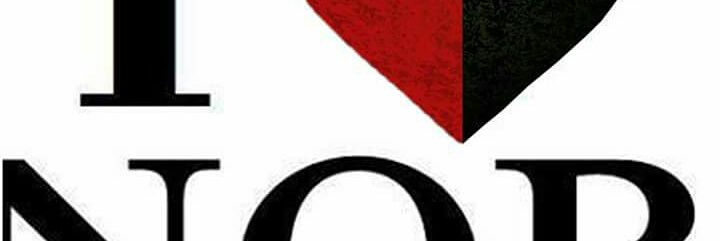 rossonerolepra's profile banner image
