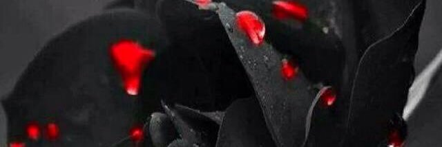 Pretty_Macc__'s profile banner image
