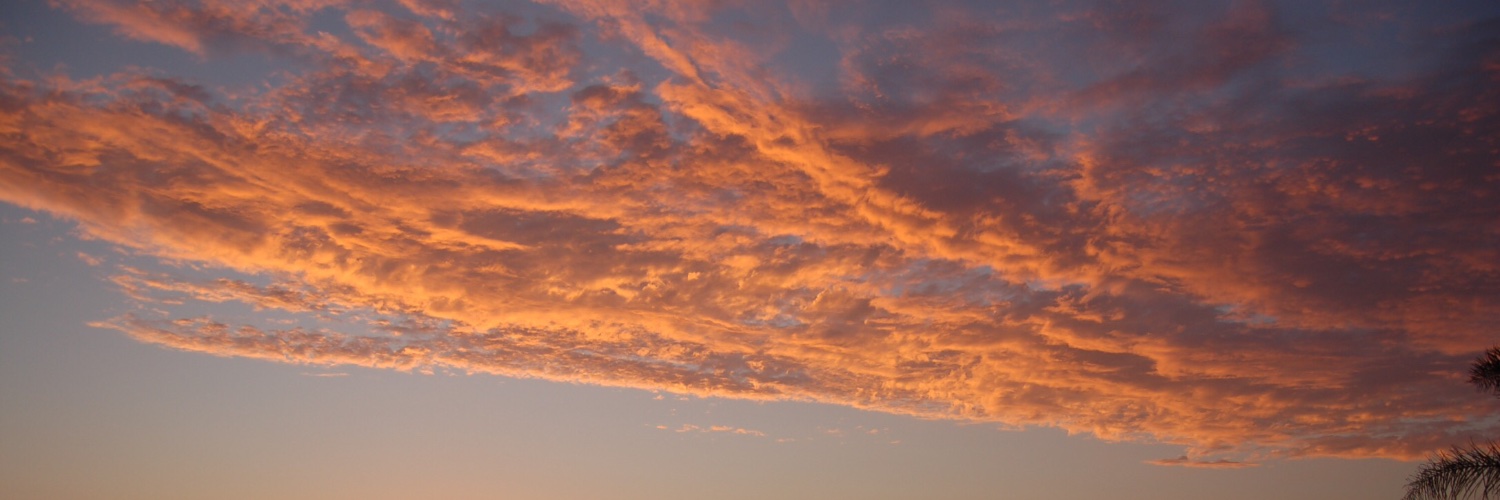 hotbotom1's profile banner image