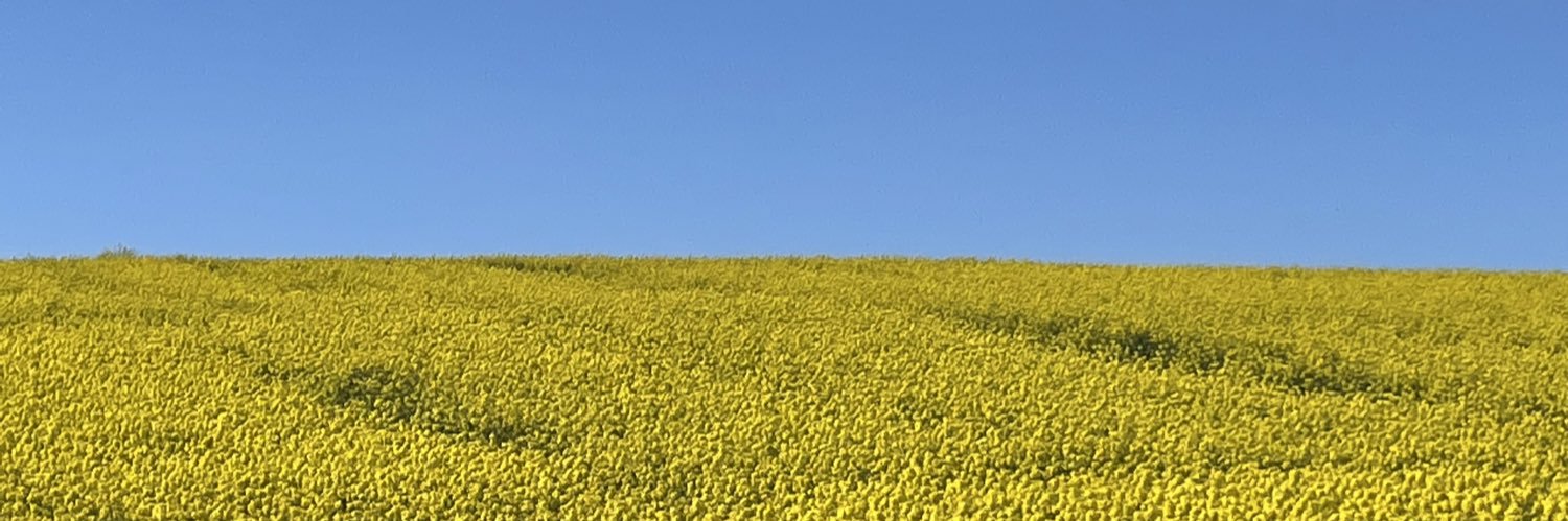 romchip's profile banner image